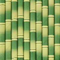 Canudo de papel Bambu (10un)