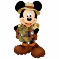 Mickey safari