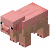 Minecraft porco